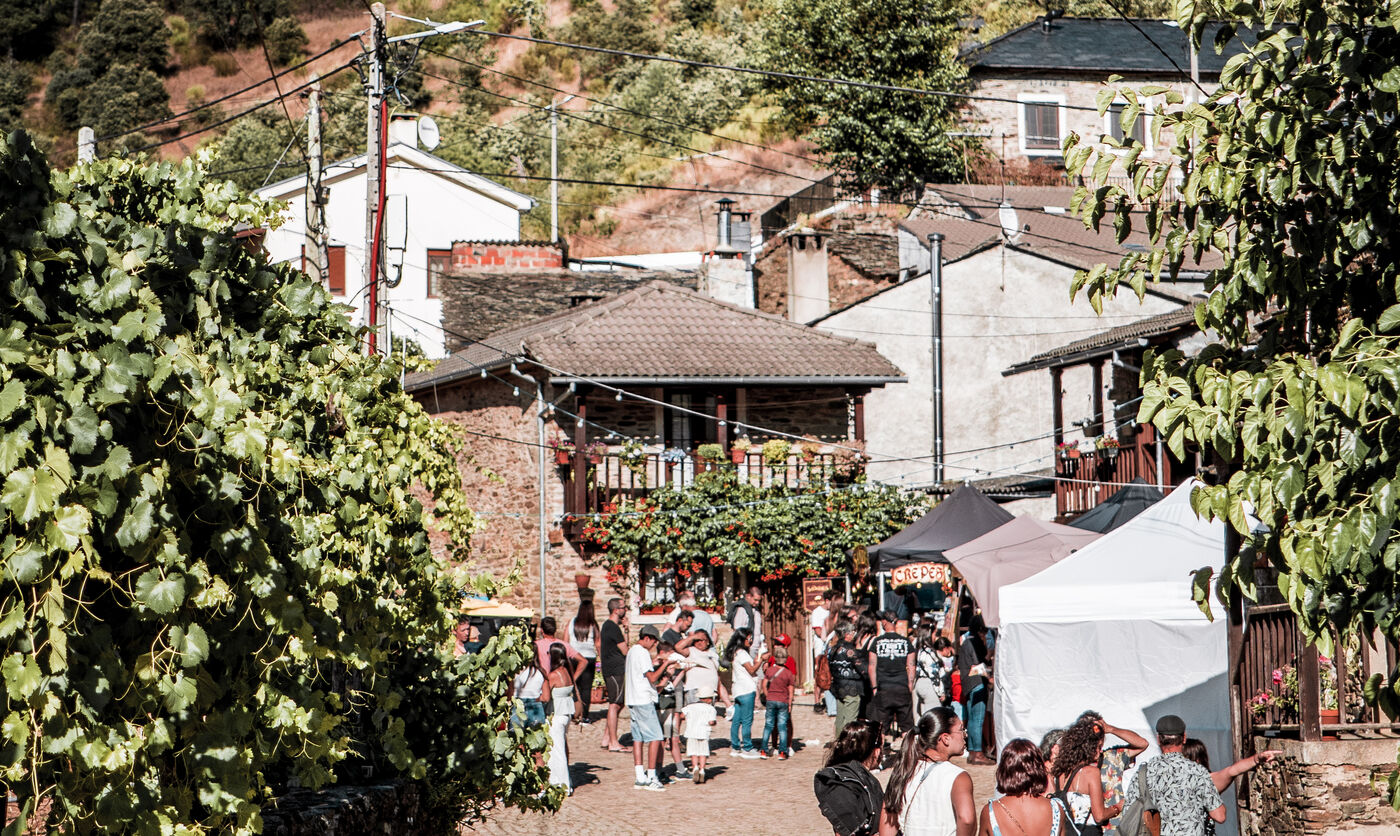 Feira de aldeia cheia de gente, com tendas e vinha em primeiro plano